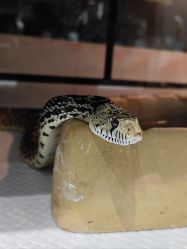 -Zoolung Zoolung动物主题公园(海信广场店)