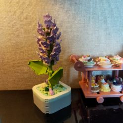 -星妈汇国际月子中心(龙珠店)