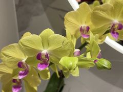 -金汇酒楼(中山东区店)