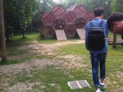 -溱湖国家湿地公园