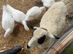 -HERRE·FARM 赫尔露营农场·团建聚会包场