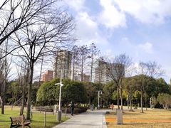 -新虹桥中心花园
