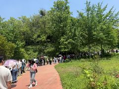 -木兰云雾山