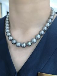 -GiO挚澳珠宝(侨福芳草地店)