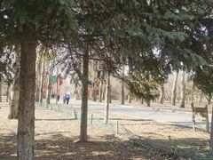 -长春公园(普阳街道)