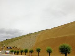 景点-沙坡头旅游度假区