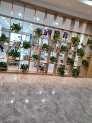 -碧莲盛·不剃发植发