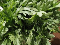 -蜀中吴养生板栗鸡(会展店)