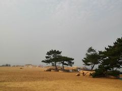 -老虎石海上公园