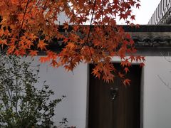 -秋霞圃