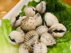 血蛤-海煮叹鲜·粥底火锅·港式海鲜打边炉(赛银国际广场店)