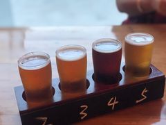 試飲-Twin Tails Brewpub双尾精酿餐吧(八坼店)