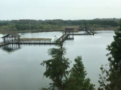 -溱湖国家湿地公园