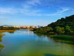 -风云岭森林公园