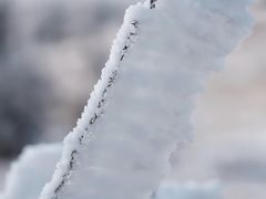 -东白山