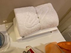 -重庆长寿碧桂园凤悦凤凰酒店