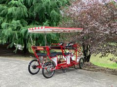 -上海海湾国家森林公园