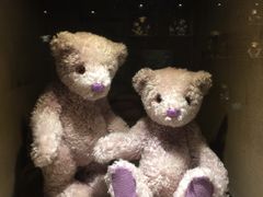 -济州岛泰迪熊博物馆