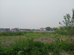 -喜杨洋草莓采摘园