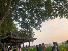 -青藤茶馆(南山路店)