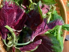 -野山舂·贵州现舂酸汤火锅(鸿通城店)