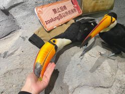 -Zoolung Zoolung动物主题公园(海信广场店)