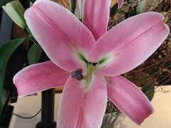 -麦当劳(沙井京基百纳广场店)