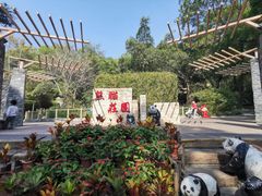 -深圳野生动物园