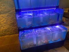 -三亚海韵度假酒店·渔人码头海鲜火锅BBQ自助餐厅·落日吧