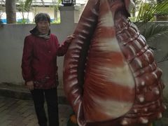 -亚龙湾海底世界