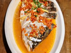 -印象鲵宴·张家界地标美食名片(溪布街店)