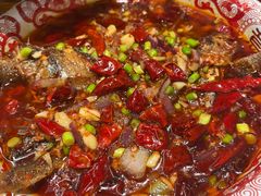 -欧记大排档·景德菜(上海首店)