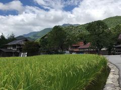 -白川乡与五箇山的合掌构造村落