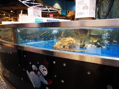 -盒马鲜生(莱蒙都会店)