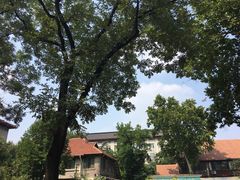 -山东大学(趵突泉校区)
