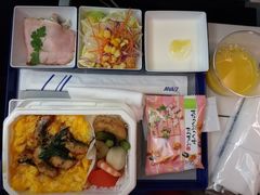 -全日本空输株式会社(上海办事处)