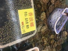 -万宝海鲜舫(劳动公园店)