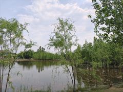 -白鹭湾湿地公园