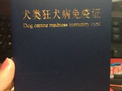 -邢大夫动物医院