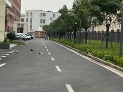 -上海嘉宁·心理咨询中心