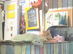 -小时光咖啡馆(开森度假森林店)
