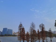 -顺峰山公园