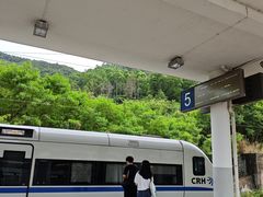 -惠阳站