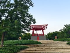-大望京公园