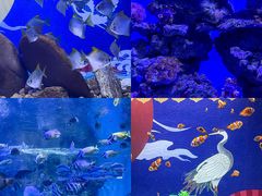 -烟台海昌鲸鲨海洋公园