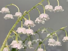 -茗蒸颜顺汗蒸美容养生馆(明怡花苑店)