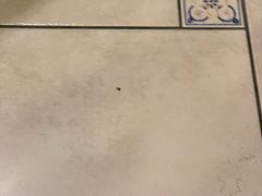 -品茶居素食馆(罗湖店)