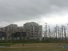 -芒洲湿地公园