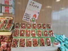 -百果园PAGODA(南沙路店)