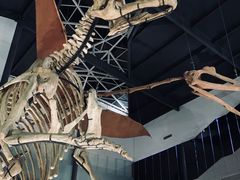 -湖南省地质博物馆